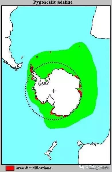 企鹅都有哪几种分别生活在哪里呢，企鹅都有哪些（详解世界上的18种企鹅<一>）
