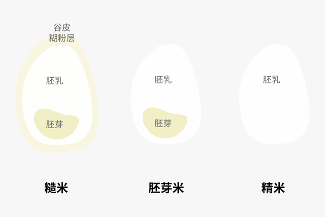 五谷杂粮中红米指的是什么，红米属于杂粮（都叫主食，原来这么多不一样）