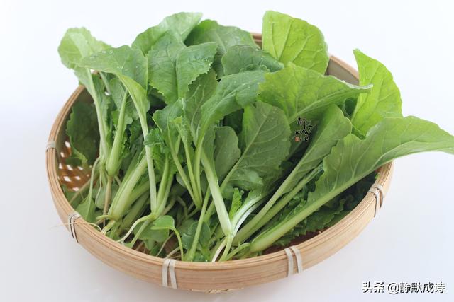青菜粥怎么做好吃，蔬菜粥的做法（我家隔天准做1回）