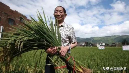 男儿到死心如铁，如何理解辛弃疾的男儿到死心如铁（完成人世间的使命）