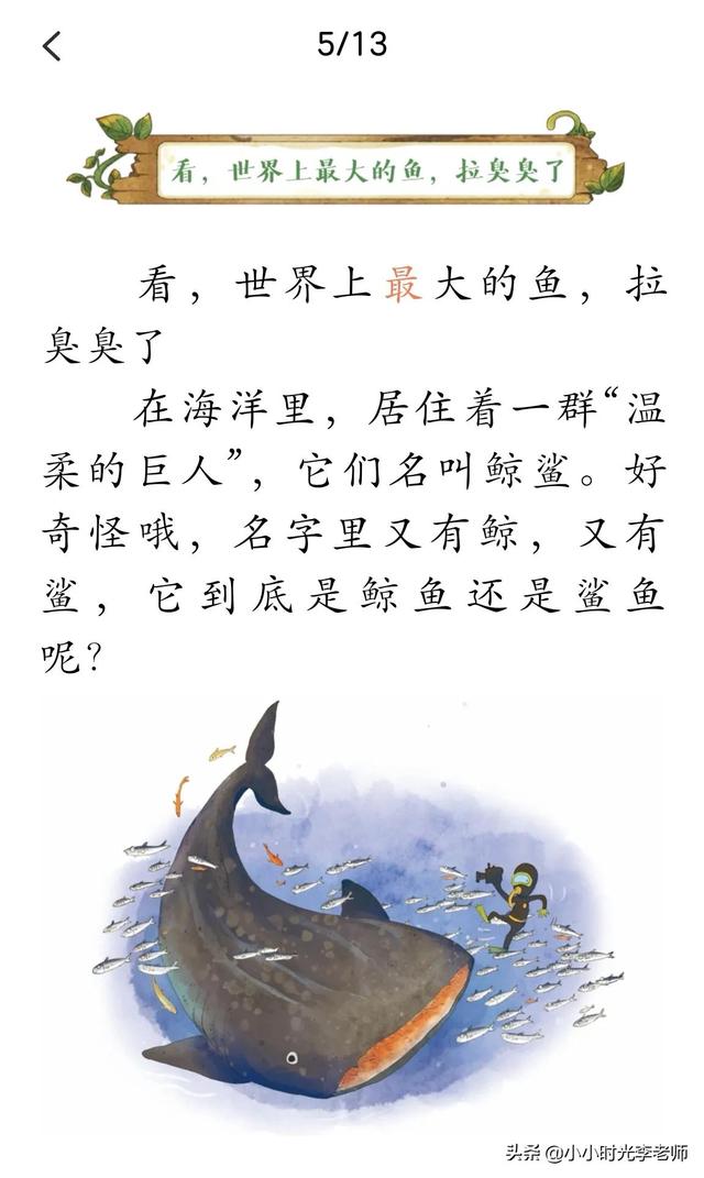 各种各样的动物，所有的常见动物名称（自然的故事-动物在说话《各式各样的便便》）