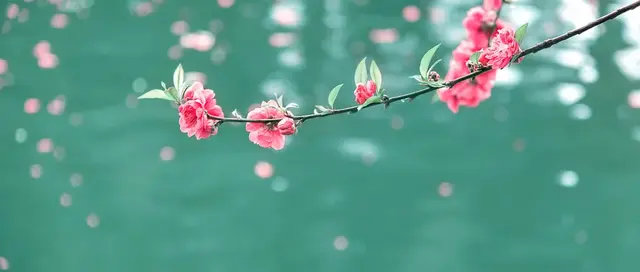 曹操著名的三句诗，曹操最著名的三首诗文