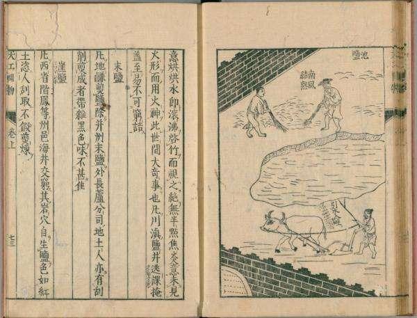 盐是怎么来的，年是怎么来的（我们每天生活的必需品食盐）