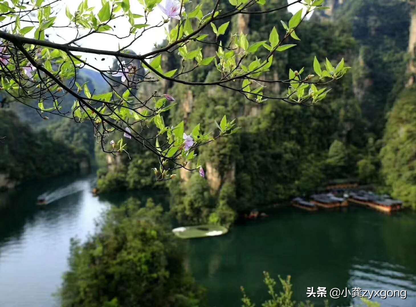 张家界热吗(张家界九月份去合适吗)