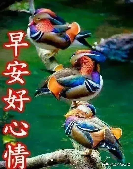 八月最新早安心语，八月的早安心语（8月18日暖心的早安问候祝福语短信）