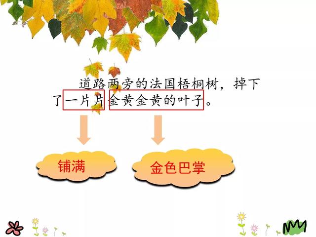 金黄的什么填词语，金黄的什么填空（部编版三年级语文上册第5课《铺满金色巴掌的水泥道》图文讲解）