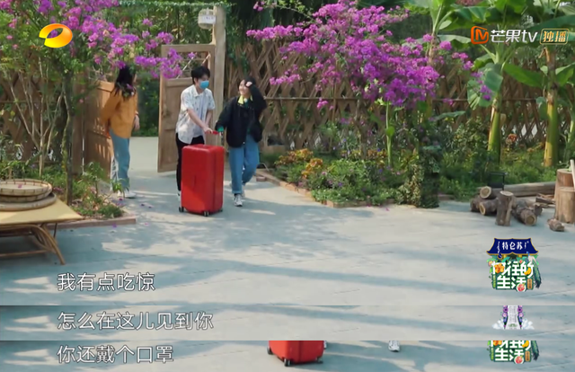 向往的生活开局推到张子枫，张子枫是谁推荐到向往的生活（《向往的生活4》张子枫被疑社恐）