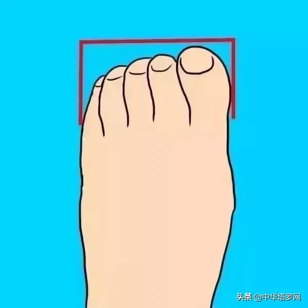 六种脚型什么命，女人3大苦命手相（你的脚型藏着你的性格，不信）