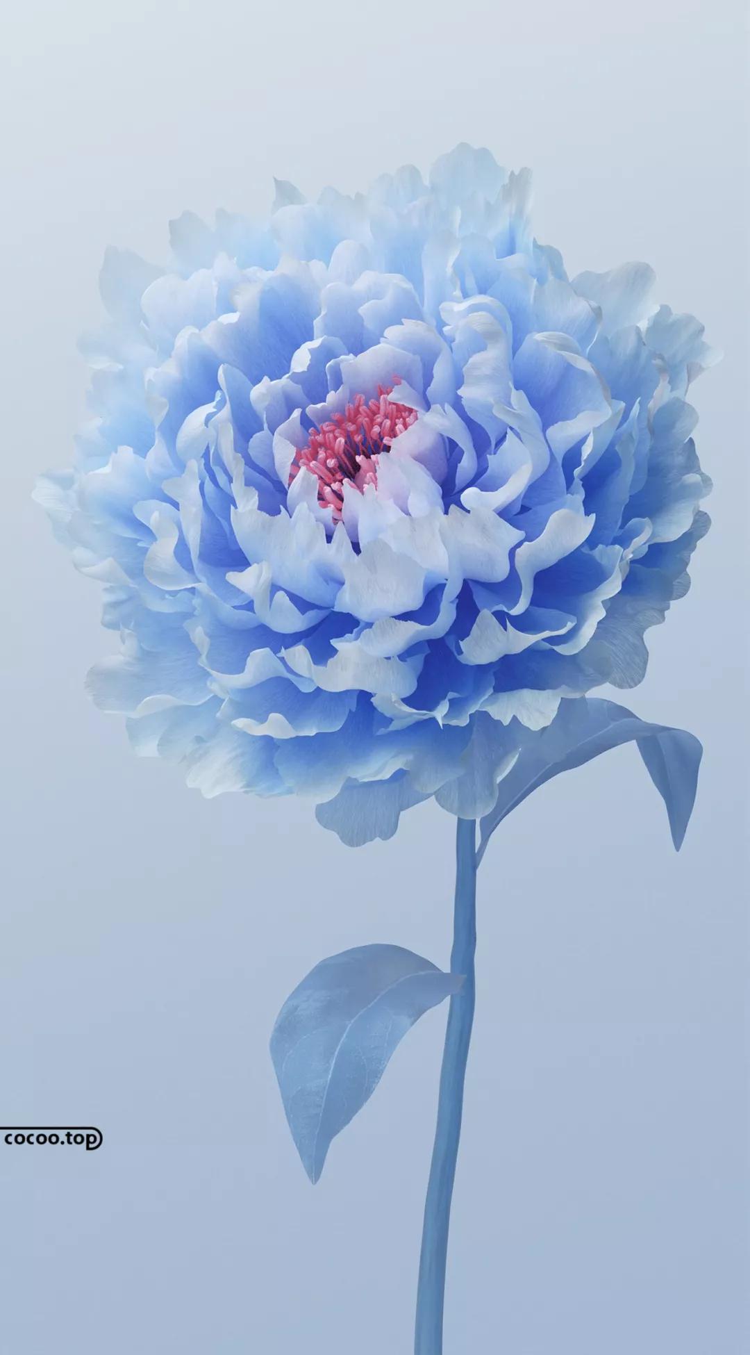 绢布是什么材料,绢丝是真丝里最差的吗(设计印刷的基本方式) 绢布是什么材料,绢丝是真丝里最差的吗(设计印刷的基本方式)