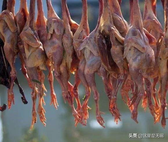 清蒸咸鸭的正确方法，咸鸭的做法大全家常（冬天的老味道让无锡人的年味渐浓）