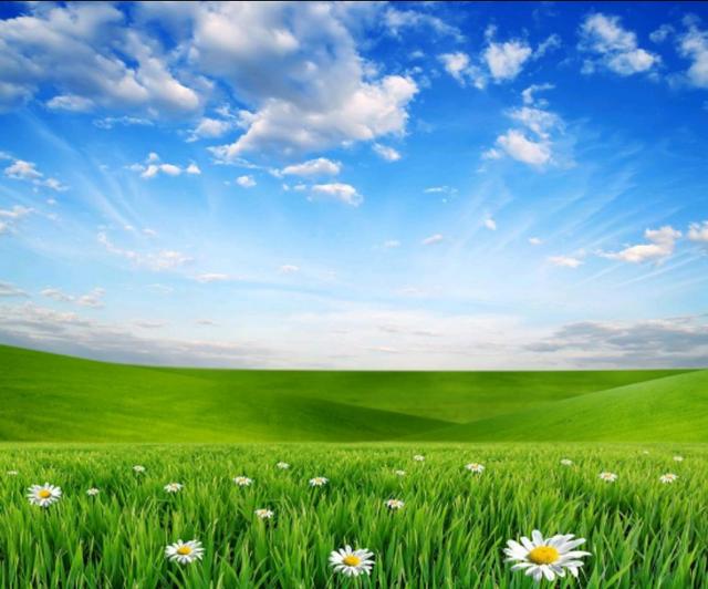 云想衣裳花想容是什么意思，云想衣裳花想容（云想衣裳花想艳）