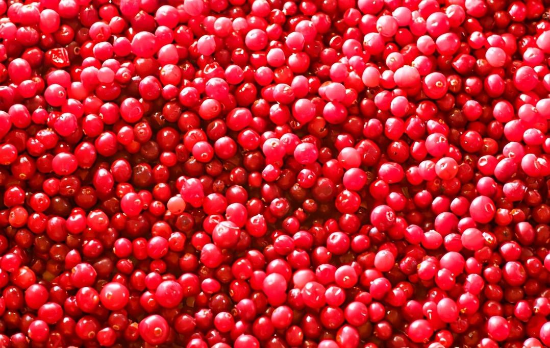 慢越莓的功效与作用(蔓越莓) - 行就行