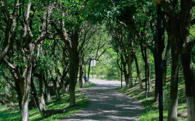 深圳十大免费景点，深圳十大必玩免费景点排名