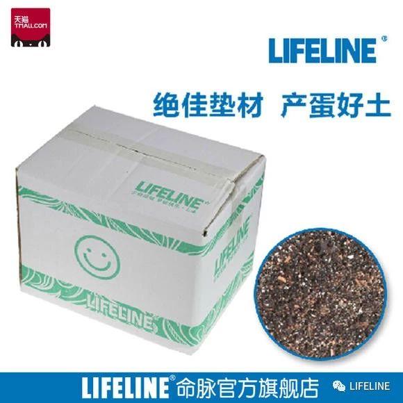 东锦龟怎样饲养，东锦龟的养殖（龟界传说级别的抗冻神仙）