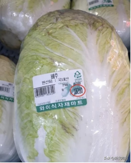 请问不对1万等于几，100×1万等于几（韩国最近一颗白菜卖到了一万韩元……说好的“白菜价”呢）