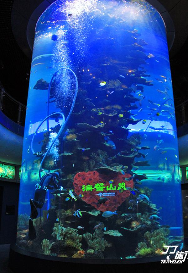 青岛有几个海底世界，青岛海底世界有几处（是有着中国最大的海底世界吗）