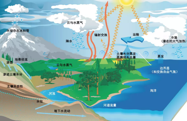 世界上最深的海沟位于，世界上最深的海沟是哪一个（为何海平面没有下降呢）