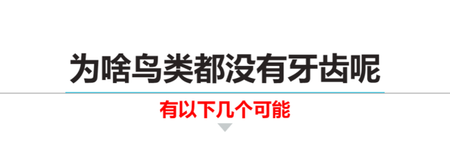 鸟类为什么没有牙齿，鸟类为什么没有牙齿的原因（这都是有科学依据的）