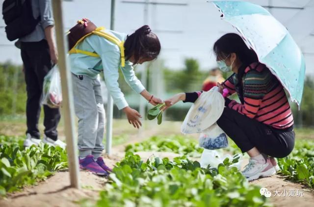 2021年万圣节放假吗 万圣节有什么活动，2021年万圣节放假吗（变装Party等活动…小鬼们来捣蛋吧）