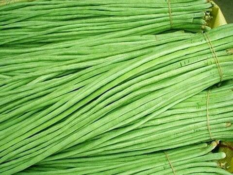 豇豆和豆角的区别，豇豆和豆角的区别