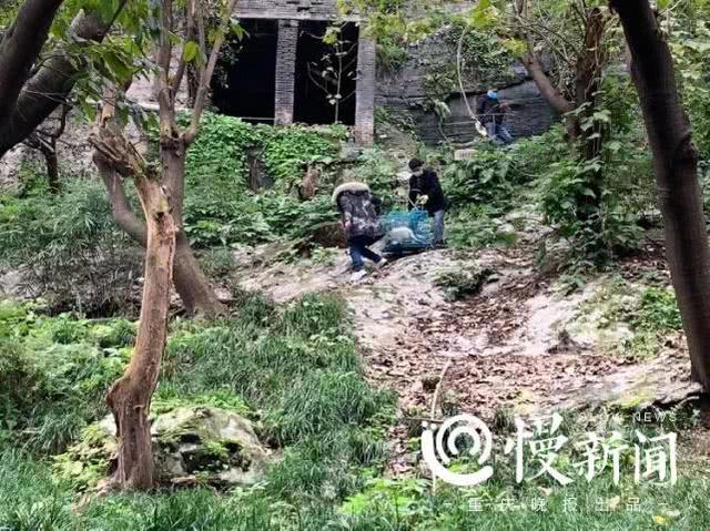 狐狸能养吗，重庆动物园：狐狸不适合家养（狐狸能养吗贵不贵）