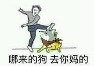 伪骨科是什么意思，伪骨科是什么意思网络用语（最近热门 网络流行词）