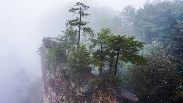 月亮摩羯就是魔鬼，月亮摩羯座很有手段（研究《通灵之战》和5个真实灵媒）