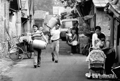 竹蛉饲养技巧，鸣虫竹蛉吃什么怎么饲养（捉虫记，竹蛉与萤火虫<一>）