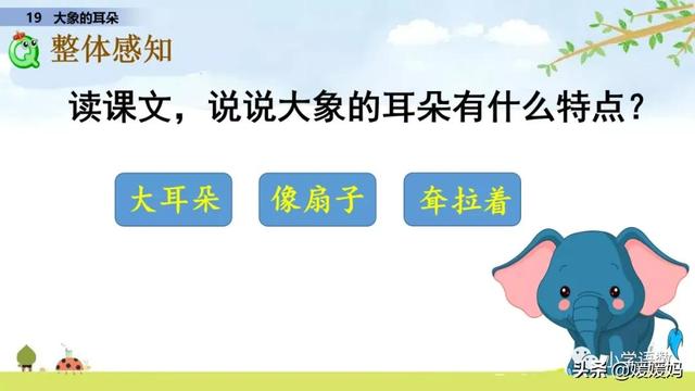 慢慢拼音怎么读，慢慢拼音（二年级下册语文课文19《大象的耳朵》图文详解及同步练习）