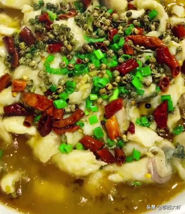黔鱼怎么做好吃，四川花椒鱼酸菜鱼水煮鱼诸葛烤鱼纸包鱼最好吃的正宗做法