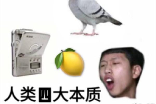 柠檬精是什么意思，柠檬树下柠檬精是什么意思（2019年网络流行语来了）