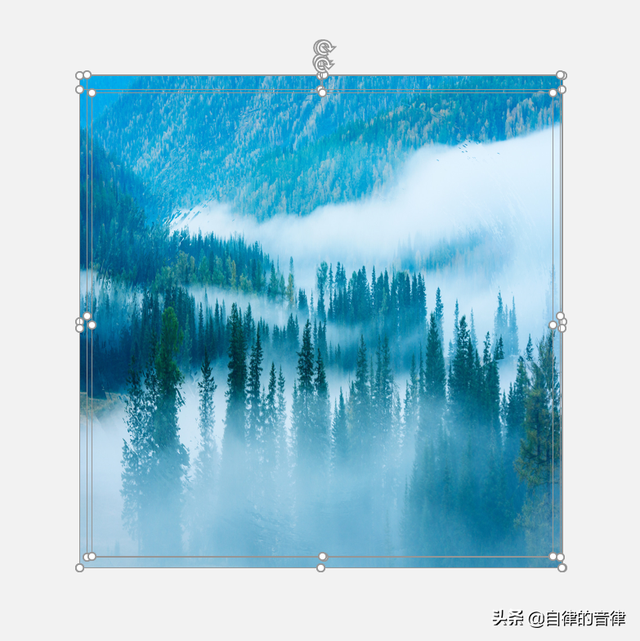 矢量文件是啥意思，矢量文件是啥意思呢（不知道笔刷在PPT里怎么用）