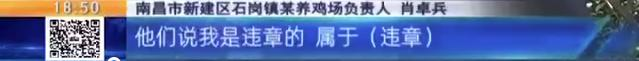 养鸡场投资多少钱，养1000只鸡需投资多少（男子投资200万元的养鸡场）