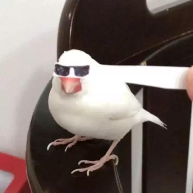 单身汪专用情头，微信头像，单身汪专用情头（超级甜的100张情侣头像拿好不谢）