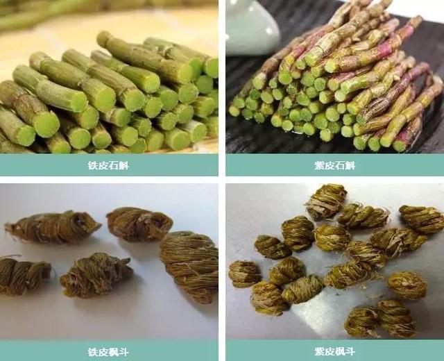 石斛茶的功效与作用有哪些，石斛的功效与作用起什么作用（增强免疫力）