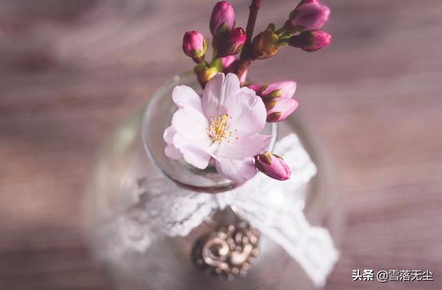 人心险恶，人心险恶 世态炎凉 做人还是不能太善良（唯有学会说“不”图片）