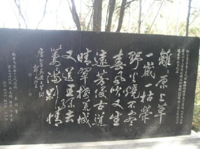 白居易是哪个朝代的诗人，白居易是哪个朝代的人（唐朝大诗人——白居易）