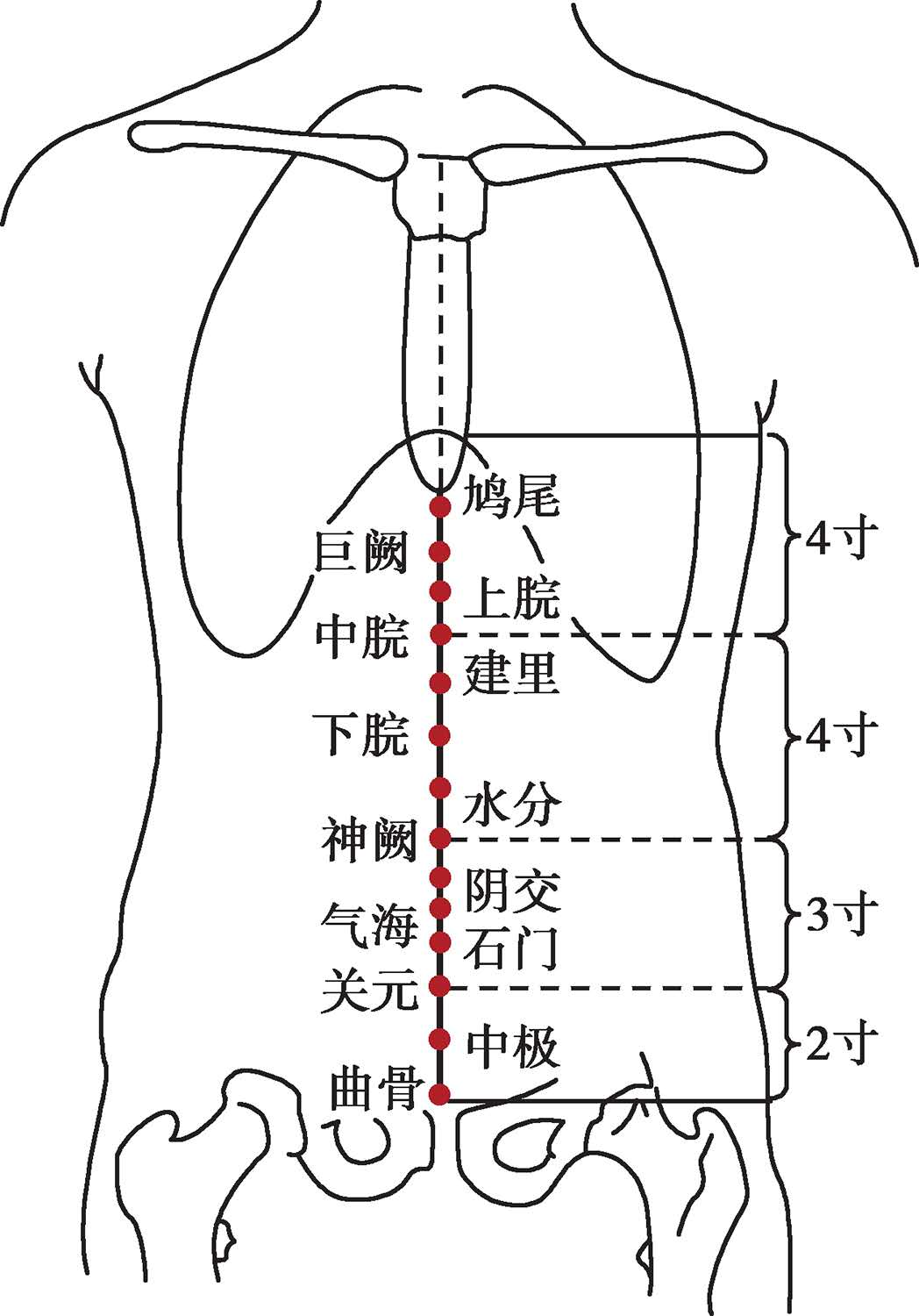 阴陵泉穴位(阴陵泉位置图和作用的准确)插图