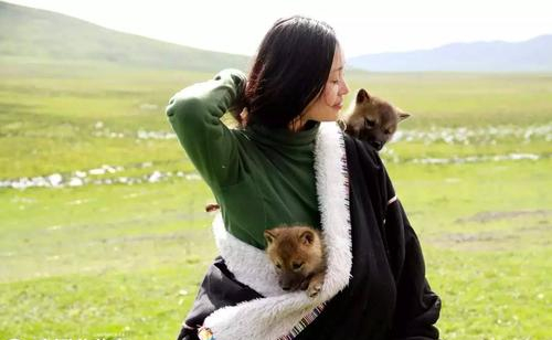 残狼灰满好词好句，残狼灰满好词好句第三课（是人类与大自然的心电感应）