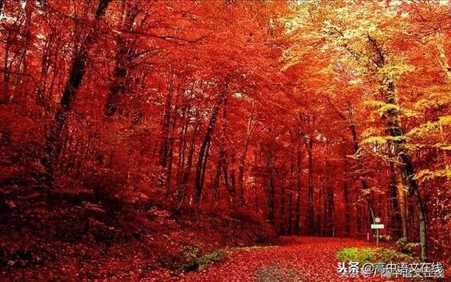 鞭策是什么意思，鞭策（文言文重点篇目知识汇总）