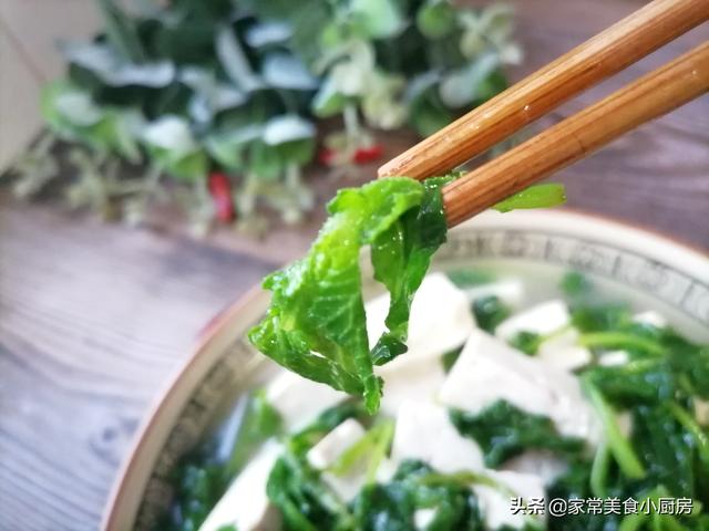 萝卜苗需要焯水吗，水萝卜需要焯水吗（间苗间出来的萝卜苗吗）