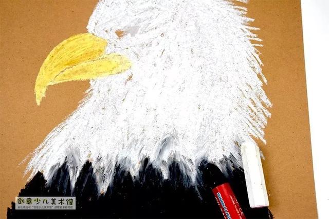 老鹰的眼睛的特点，老鹰的眼睛像什么一样锐利（油画棒色彩练习画雄鹰）