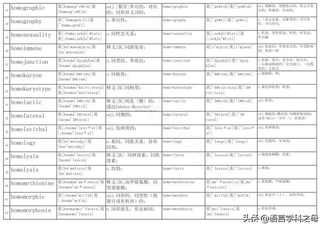 国民homo什么意思，homolive什么梗（总结了367个以hyper、240个以hypo前缀、106个以homo前缀的单词）