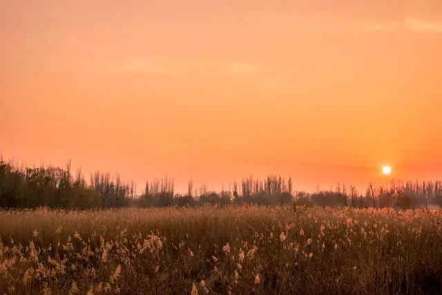 贵不独行意思，贵不独行意思和造句（每一首都有一个千古名句）