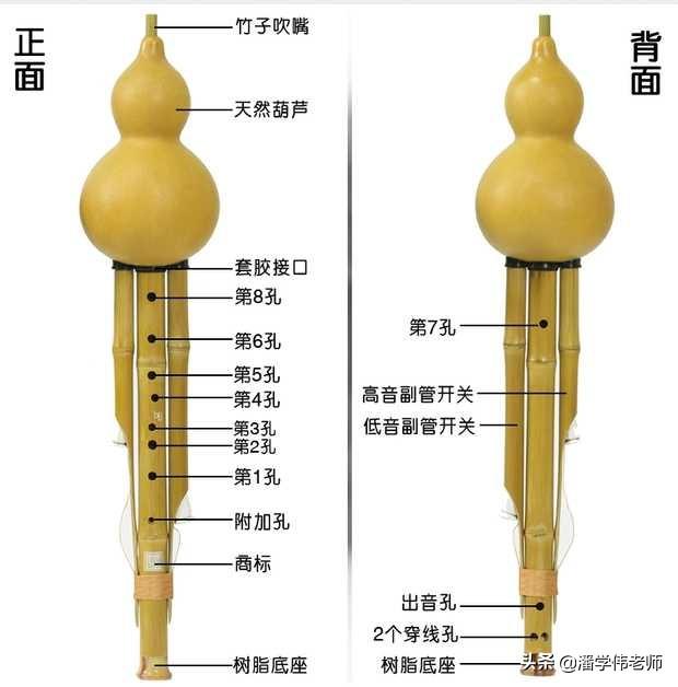 葫芦丝零基础入门指法，九孔葫芦丝示意图和指法