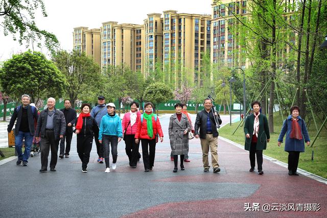 最简单能令人放松心情的图片 偶尔防空一下自己，让人心情放松的图片（醉倒在那片春色里）