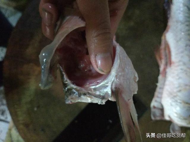 酸菜鱼怎么切鱼片，酸菜鱼的鱼片怎么腌制（教你酸菜鱼如何切鱼片没鱼刺）