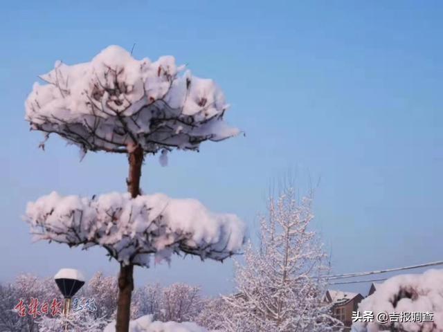 白雪却嫌春色晚，白雪却嫌春色晚下一句是什么（白雪却嫌春色晚,下一句是什么）