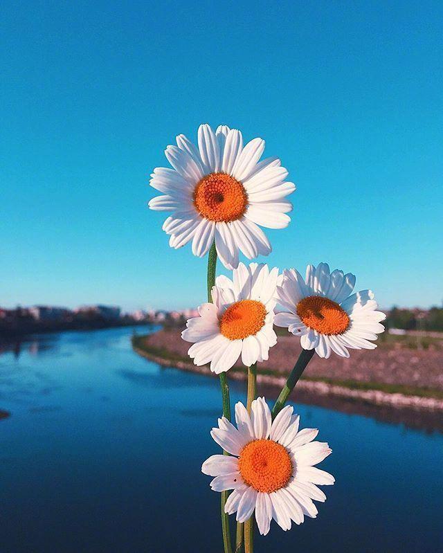 鼓励别人挣钱的话，鼓励别人挣钱的说说（早安心语赚钱感悟）