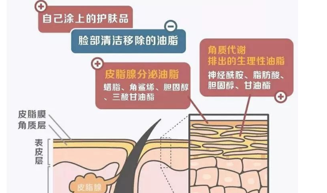 夏天皮肤出油怎么办，夏天皮肤出油怎么回事（皮肤变得油腻应该怎么护理）